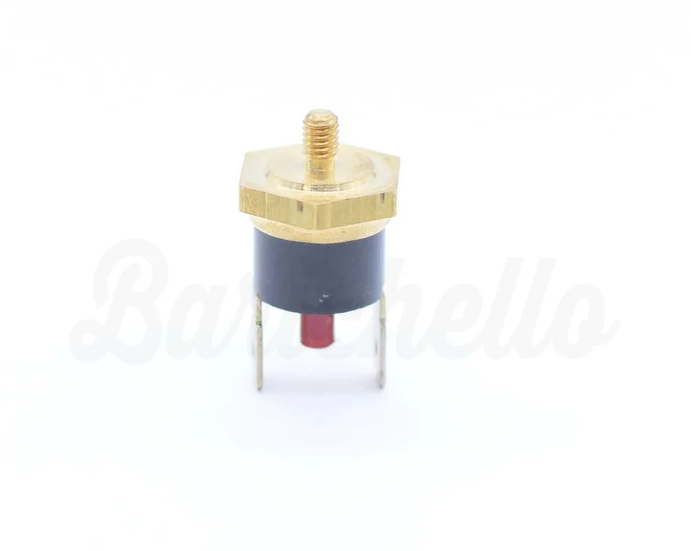 bottegabarichello636242