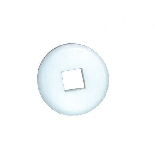 bottegabarichello639253