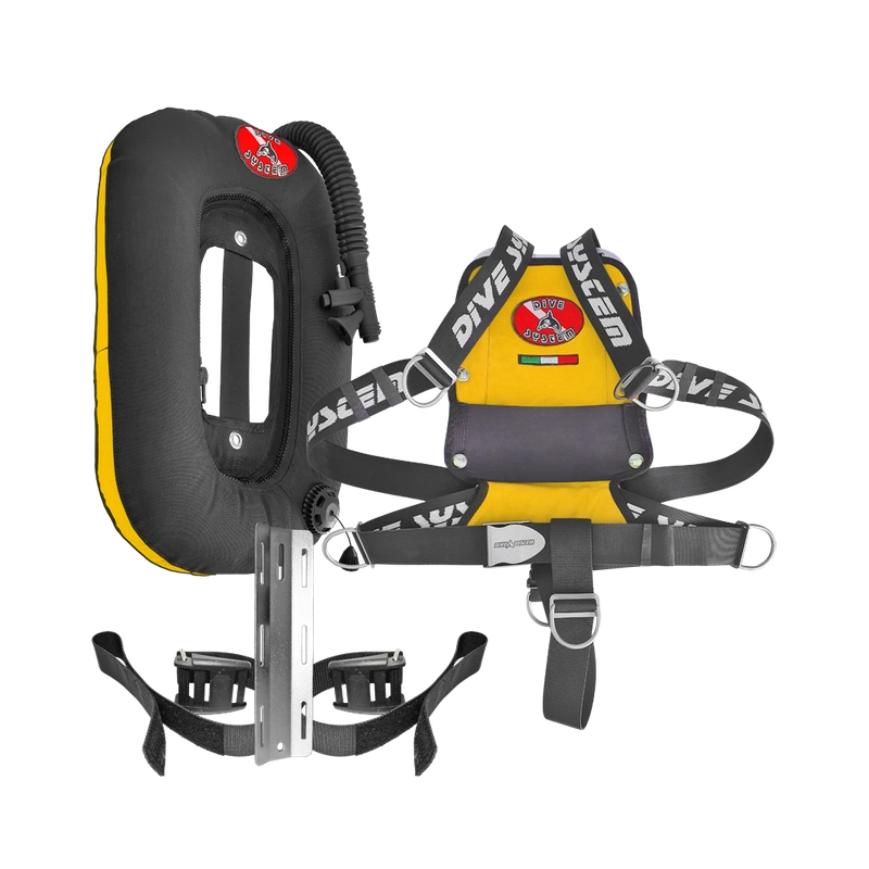 divesystem2522650