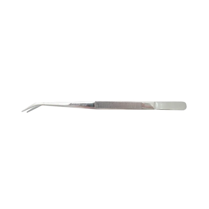 gnoatolino594172