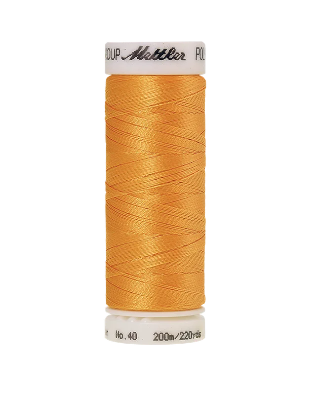 safara-cucito618248