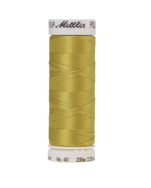 safara-cucito618887