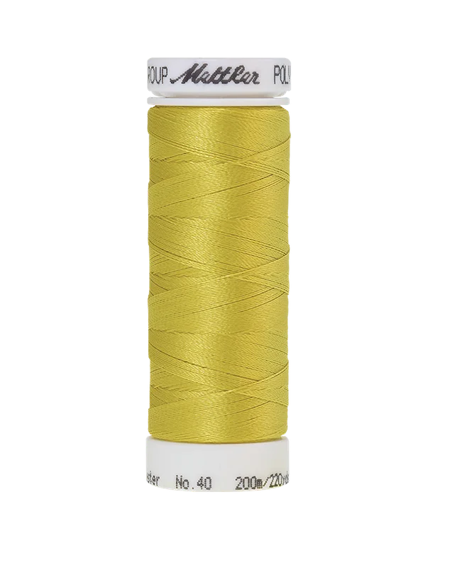 safara-cucito618901