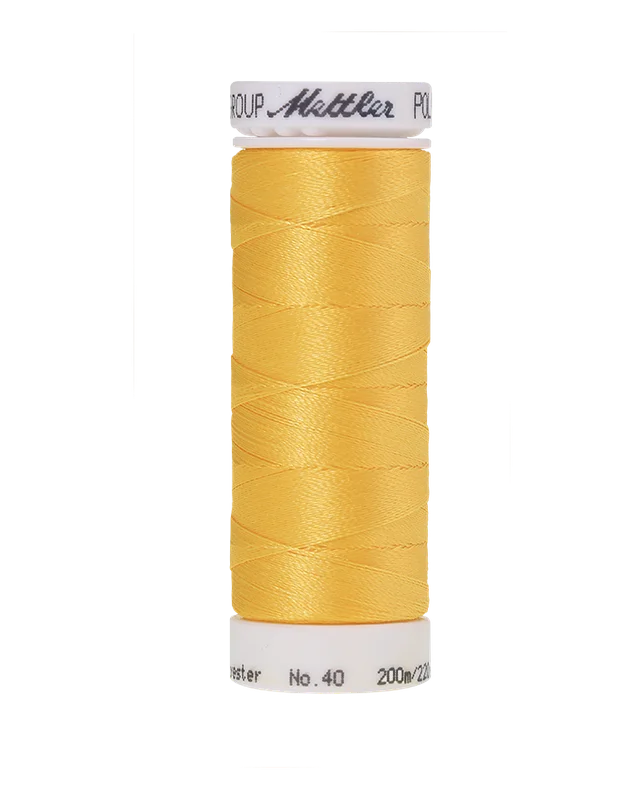 safara-cucito643004